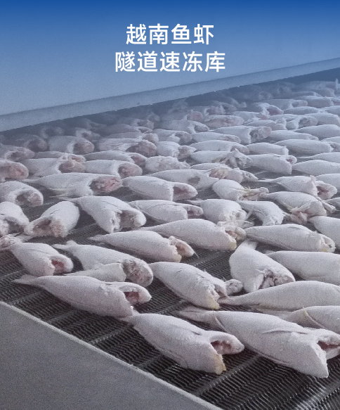 越南鱼虾隧道速冻库案例
