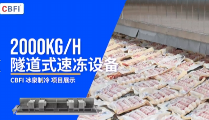 漳州速冻香肠2吨（隧道式速冻设备）客户案例