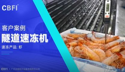 越南鱼虾速冻 - 速冻流程 - 客户案例 - 隧道速冻机
