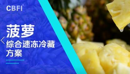 菠萝综合速冻冷藏方案 - 工作流程 - 隧道速冻机