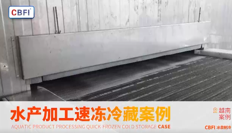 越南鱼虾 隧道速冻库 1500kg 客户案例