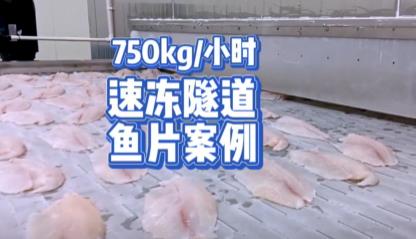 鱼片750KG/小时速冻隧道案例 - 板带隧道速冻机