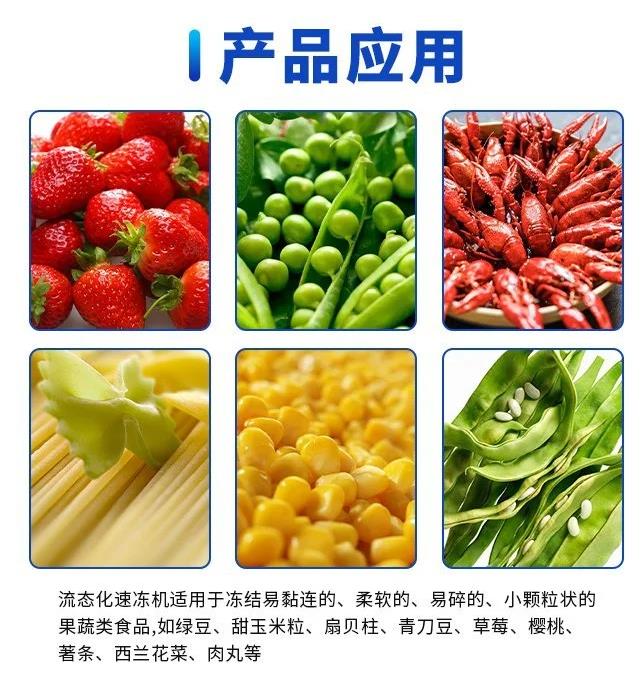 大型速冻机设备的应用范围