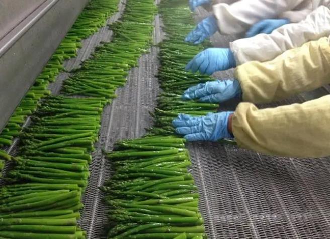 蔬菜速冻方法及设备有哪些，可以保存几天？