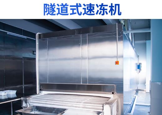 大型或高端型号的速冻机