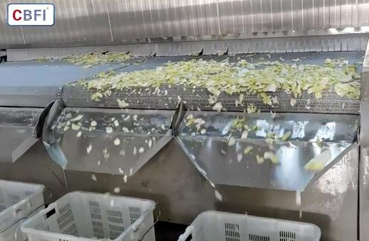 广州冰泉制冷设备公司的蔬菜大型速冻机设备具有多项显著特点