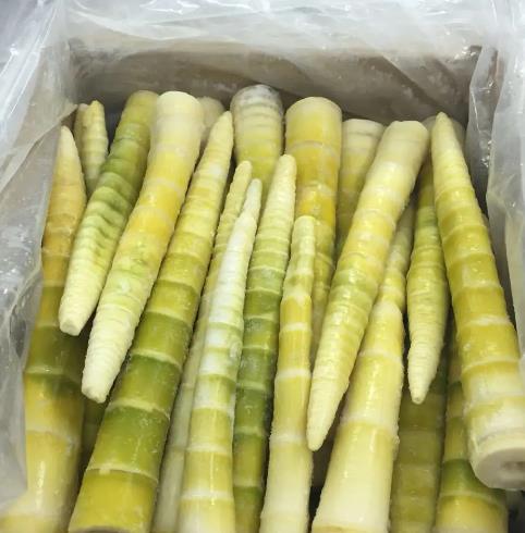 商用竹笋速冻机器，竹笋速冻设备厂家哪家好？