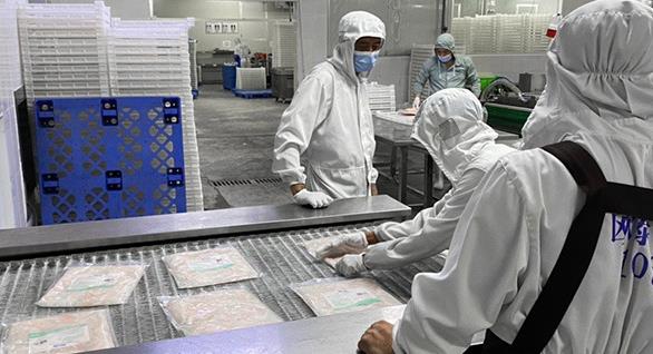 肉类速冻设备多少钱一台合适，广州速冻设备厂家