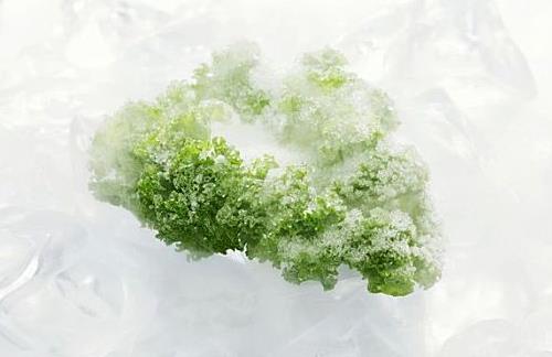 冻干蔬菜的生产过程