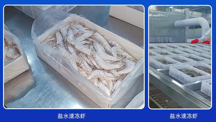 客户盐水速冻机的使用心得