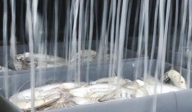 盐水冷冻机工作原理，冷却水温度使用范围