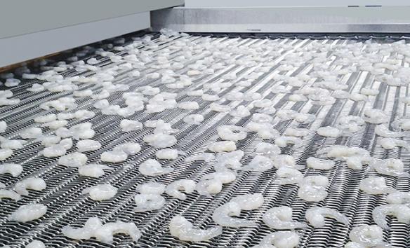 隧道式液氮速冻机使用年份，厂家品牌哪家好？