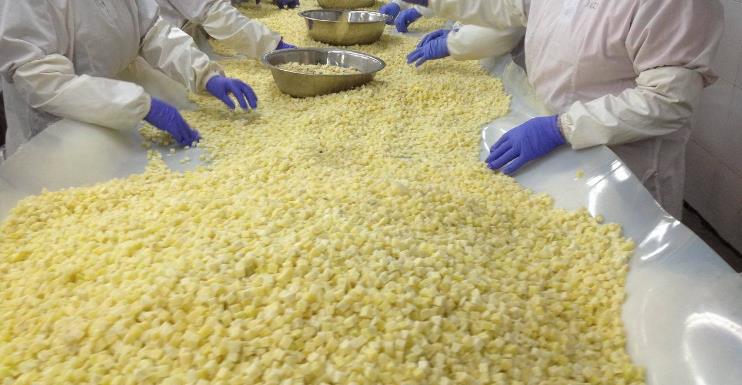 南京冷冻食品厂家有哪些公司？优质供应商助您事业腾飞
