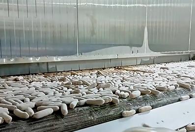 流态化速冻机使用年限：影响因素及维护保养策略