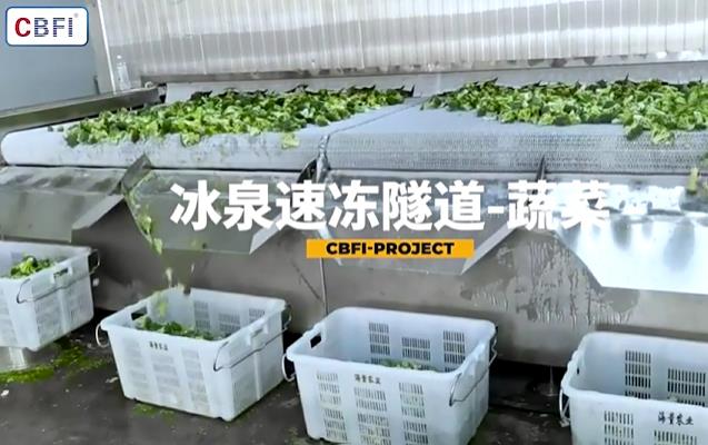 2吨速冻隧道的价格是多少钱一个