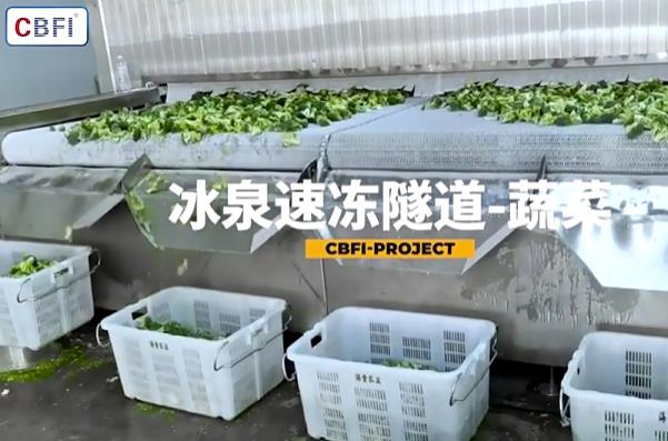 购买蔬菜速冻机