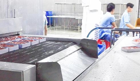 用户使用感受与专业建议