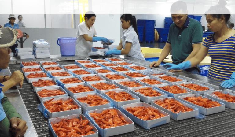 采用速冻技术可以将肉类的储存期延长至8个月