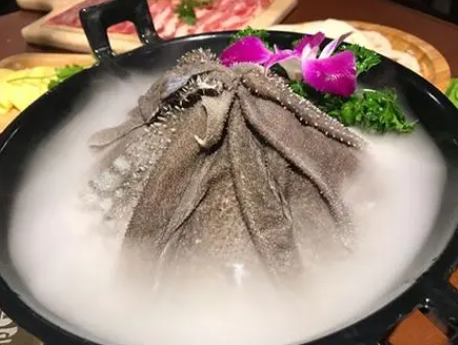 如何选择鲜毛肚速冻设备？一看便知！