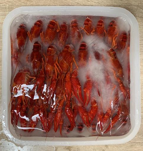 5.质量把关员