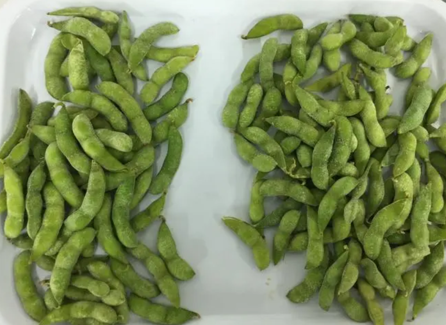 速冻黄豆荚加工设备厂家