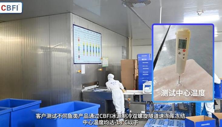 虾速冻设备？如何提高虾速冻生产效率