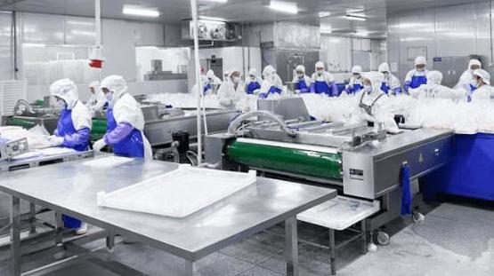 食品速冻机械与设备？全面解析