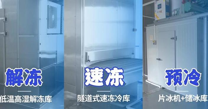 毛肚液氮速冻设备技术 (图3)