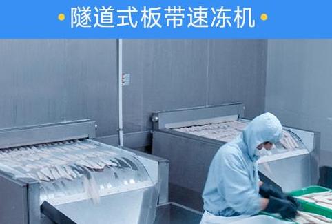 如何选择适合的速冻玉米设备？
