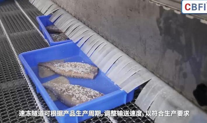速冻常用设备？常见问题及解决方案