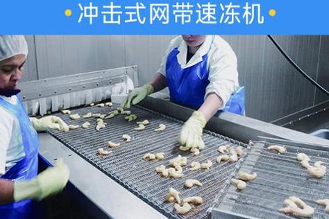 箱式液氮速冻设备定制？何选择适合自己需求的