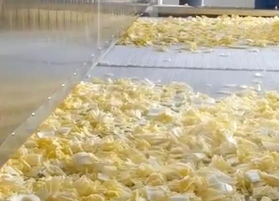 如何选购最合适的速冻蔬菜加工设备？
