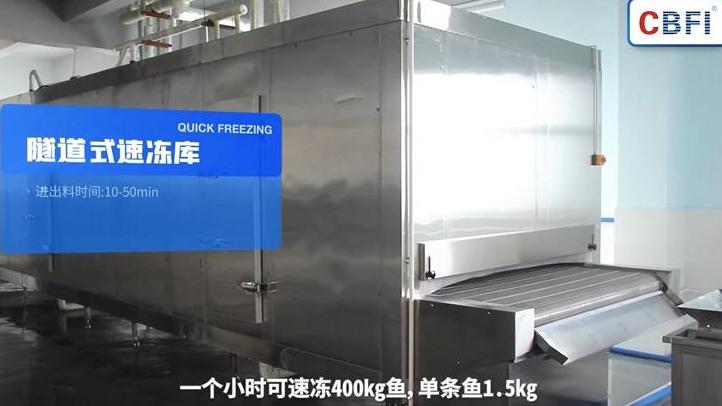 如何选购最合适的速冻蔬菜加工设备? (图2)