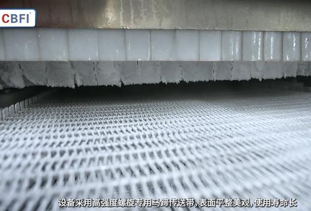 速冻设备有何特点，详细操作与注意事项分享 (图2)