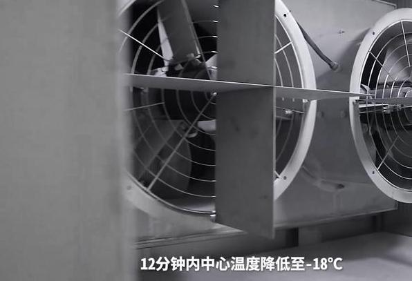 海南速冻设备，有哪些使用注意事项？ (图2)