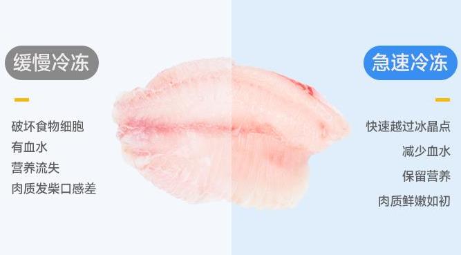 蔬菜速冻机设备价格
